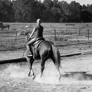 Meet your Posher, Laura